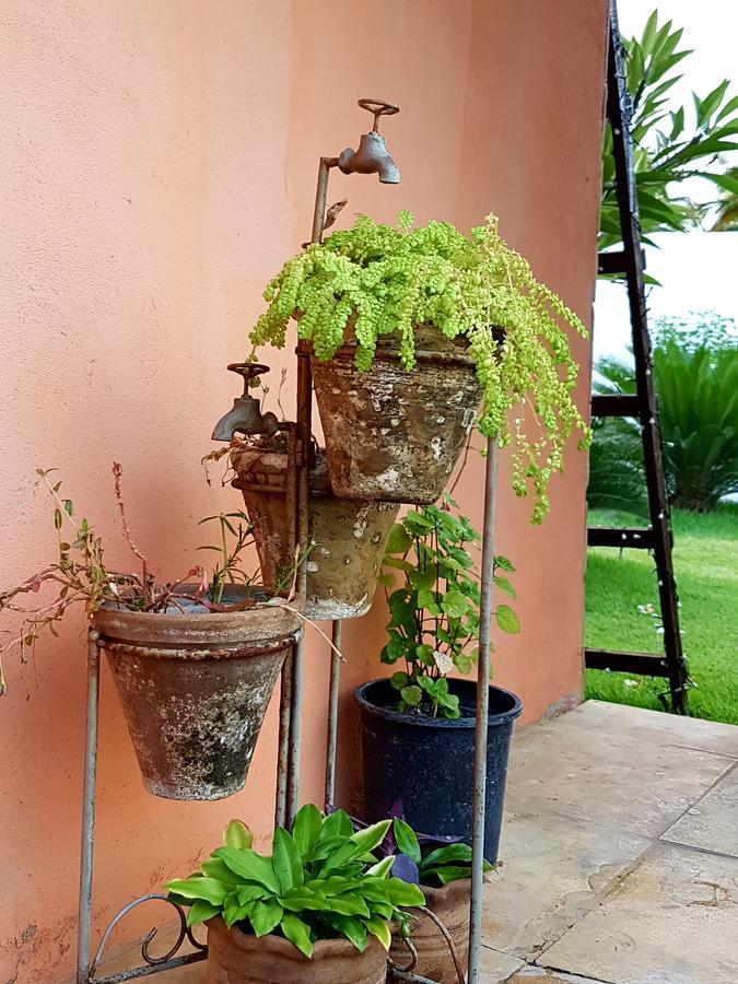 Casa Dos Patos Holiday home